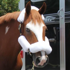 Shedrow Sheepskin Halter Set