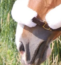 Shedrow Sheepskin Nose Cover