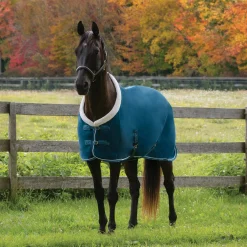 Shedrow Soft Shell Cooler