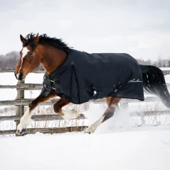 Shedrow Turnout Blanket 150 g