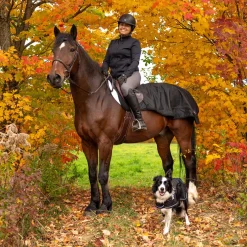 Shedrow Weatherproof Exercise Sheet