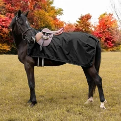 Shedrow Weatherproof Exercise Sheet