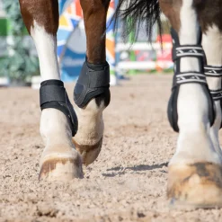 Summit Hind Fetlock Boots