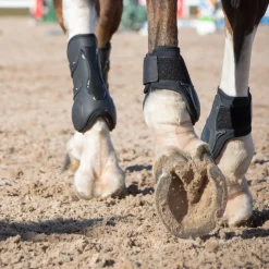 Summit Hind Fetlock Boots