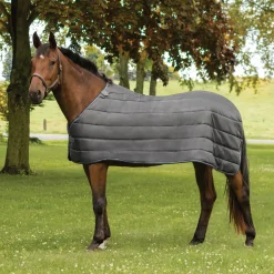 Summit Nova Liner 300 g