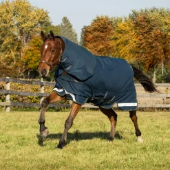 Summit Nova Turnout Blanket 100 g W/ Hood