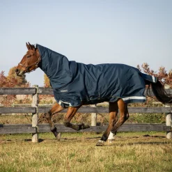 Summit Nova Turnout Blanket 100 g W/ Hood