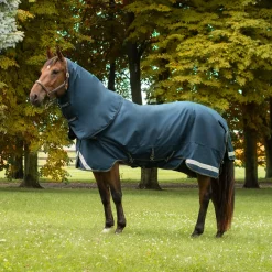 Summit Nova Turnout Blanket 100 g W/ Hood