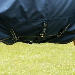 Summit Nova Turnout Blanket 100 g W/ Hood