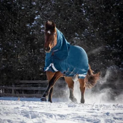 Summit Nova Turnout Blanket 400 g W/ 150 g Hood