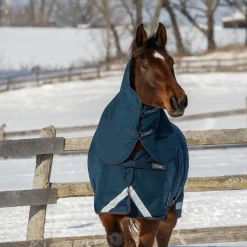 Summit Nova Turnout Blanket 400 g W/ 150 g Hood