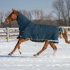 Summit Nova Turnout Blanket 250 g W/ 150 g Hood