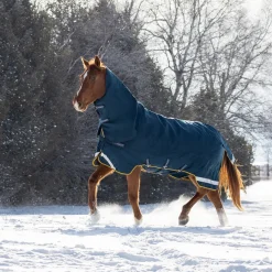 Summit Nova Turnout Blanket 250 g W/ 150 g Hood