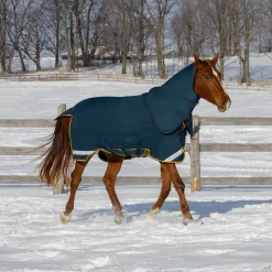 Summit Nova Turnout Blanket 250 g W/ 150 g Hood