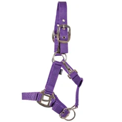 Supra Adjustable Mini Breakaway Halter