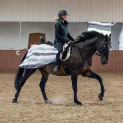 Supra Fleece Exercise Sheet