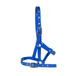 Supra Foal Halter