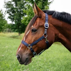 Supra Neoprene Padded Breakaway Halter