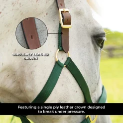 Supra Nylon Halter W/ Leather Crown