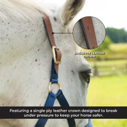 Supra Nylon Halter W/ Leather Crown