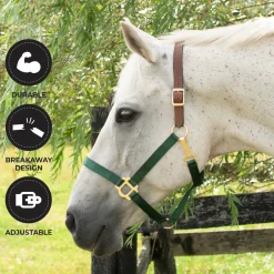 Supra Nylon Halter W/ Leather Crown