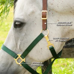 Supra Nylon Halter W/ Leather Crown