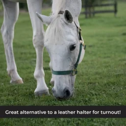 Supra Nylon Halter W/ Leather Crown