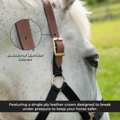 Supra Nylon Halter W/ Leather Crown