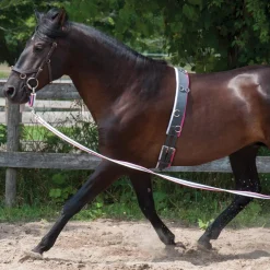 Supra Smart Lunge Set