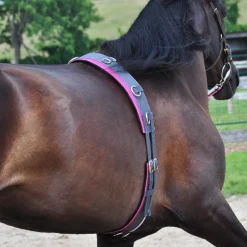 Supra Smart Lunge Set