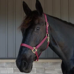 Supra Stable Halter