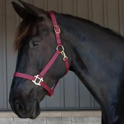 Supra Stable Halter