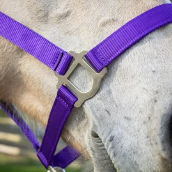 Supra Stable Halter