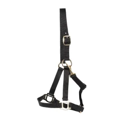 Supra Stable Halter