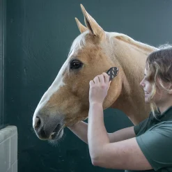 Supra Style Collection Face Brush