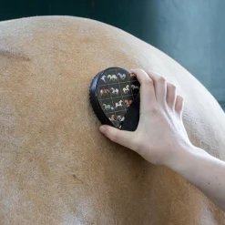 Supra Style Collection Plastic Curry Comb