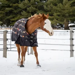 Supra Turnout Blanket 300 g