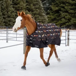 Supra Turnout Blanket 300 g