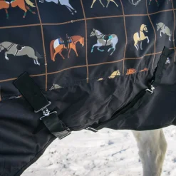 Supra Turnout Blanket 300 g