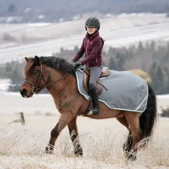 Swift Pony Exercise Sheet