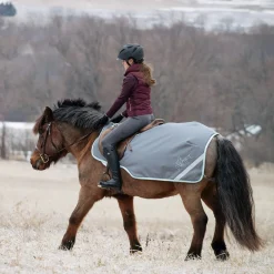 Swift Pony Exercise Sheet
