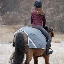 Swift Pony Exercise Sheet