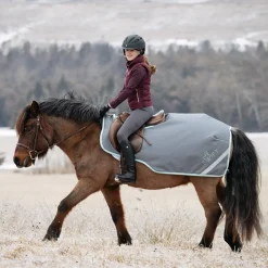 Swift Pony Exercise Sheet