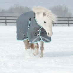 Swift Pony Turnout Blanket 300 g