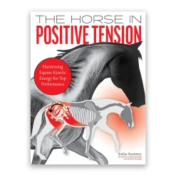 Trafalgar Square The Horse in Positive Tension