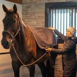 Thermal Therapy Back Warmer