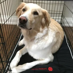 Thermal Therapy Extra Large Crate Mat