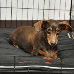 Thermal Therapy Medium Crate Mat