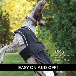 Thermal Therapy Mesh Dog Coat