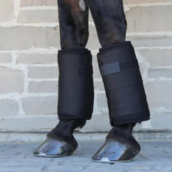 Thermal Therapy No Bows